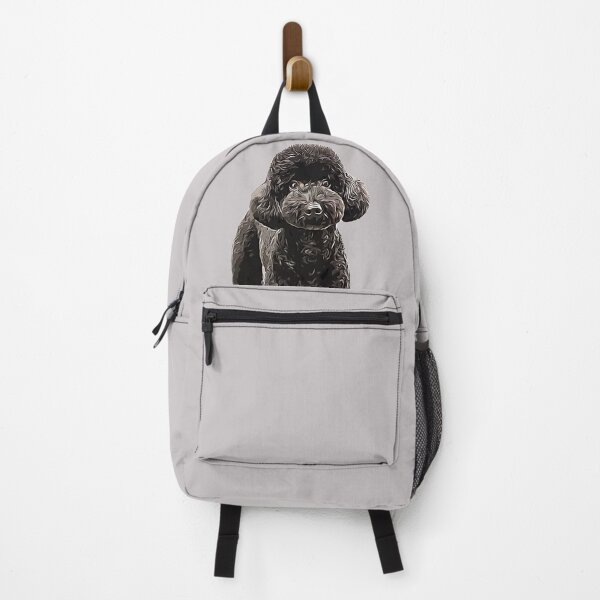 Dog backpacks for discount school