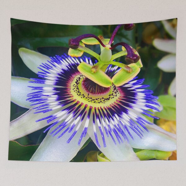 Item preview, Purple Passionflower designed and sold by helengarvey.