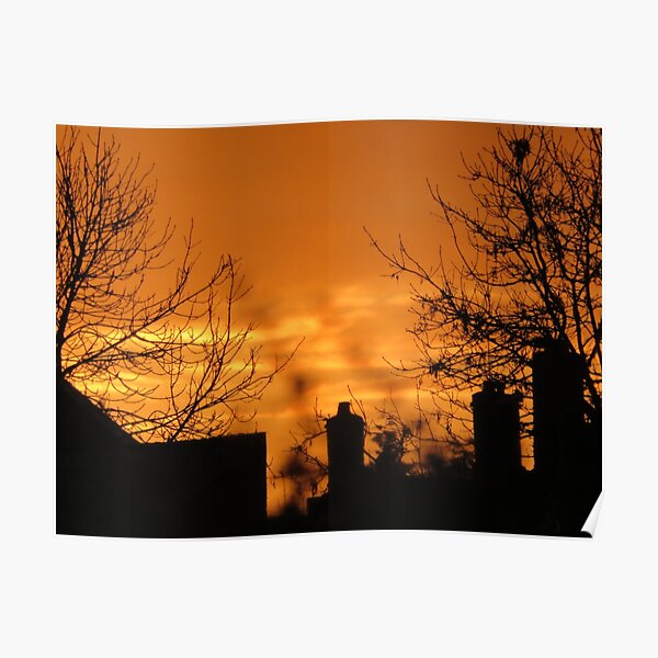 REEDS SILHOUETTE SUNSET ORANGE BLACK PHOTO ART PRINT POSTER PICTURE BMP1946A 