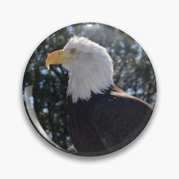 Item preview, American Bald Eagle on the Watch designed and sold by richardbryce.