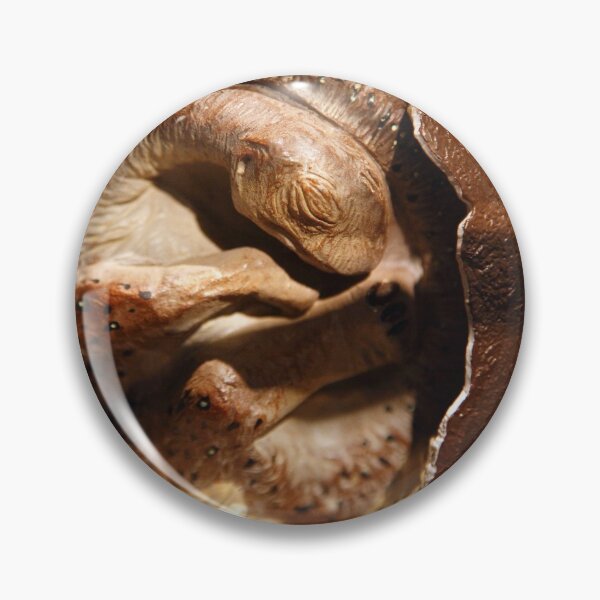 Artikelvorschau, Dinosaurierei mit Embryo entworfen und verkauft von Gaspar Avila.