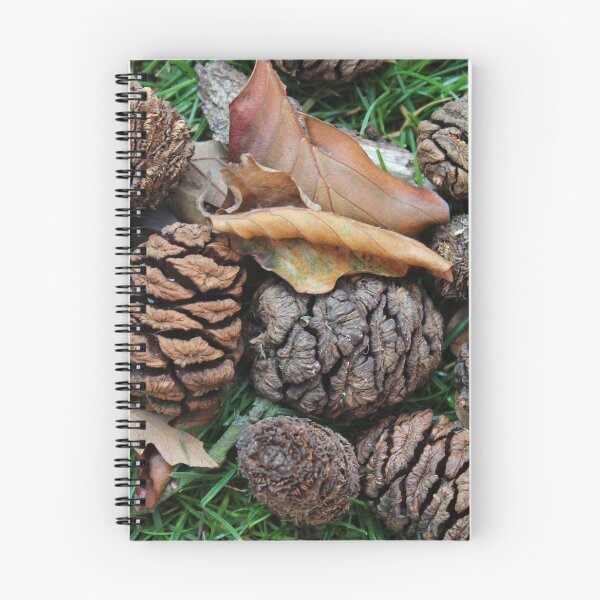 Item preview, Autumn seeds and leaves designed and sold by Gaynor-dI.