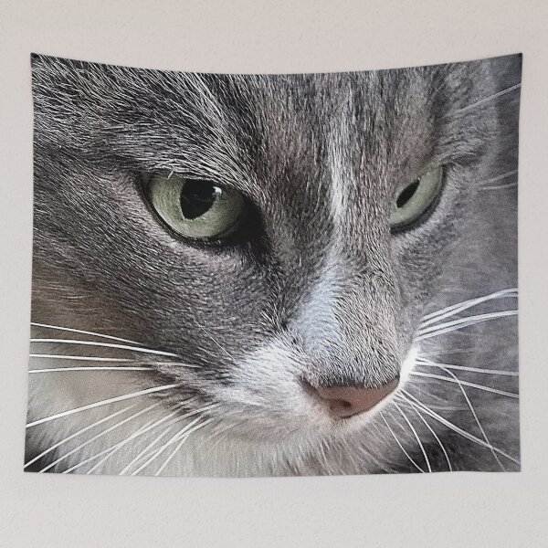 Item preview, Cat designed and sold by Denis Charmot.