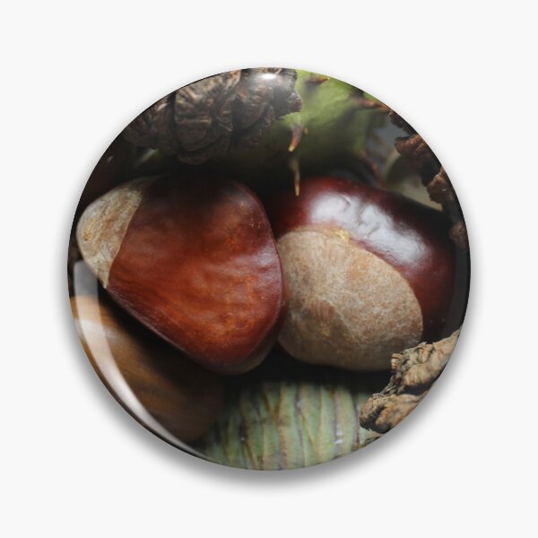 Item preview, Autumn seeds  designed and sold by Gaynor-dI.
