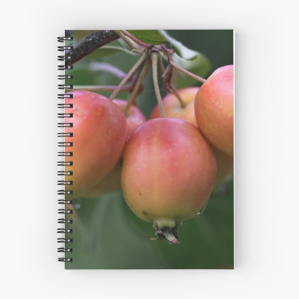 Item preview, Crabapples Five designed and sold by coffeebean.