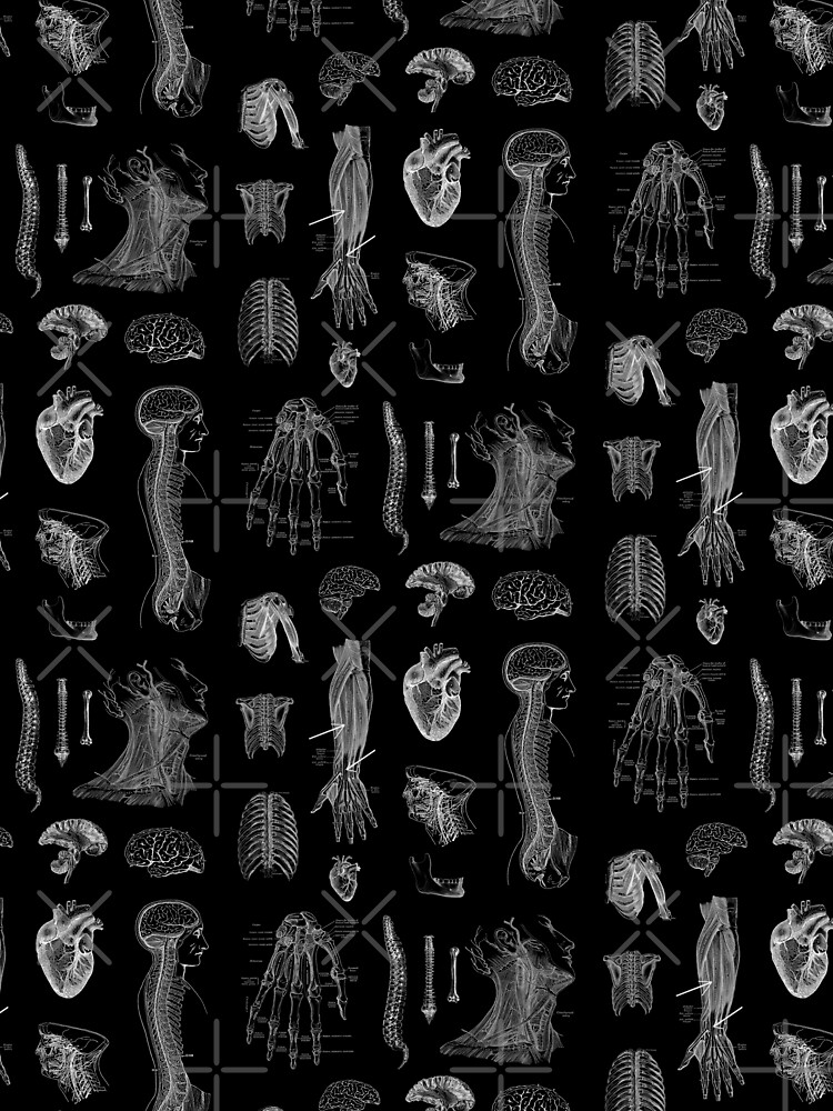 Vintage Anatomy Print by StilleSkygger