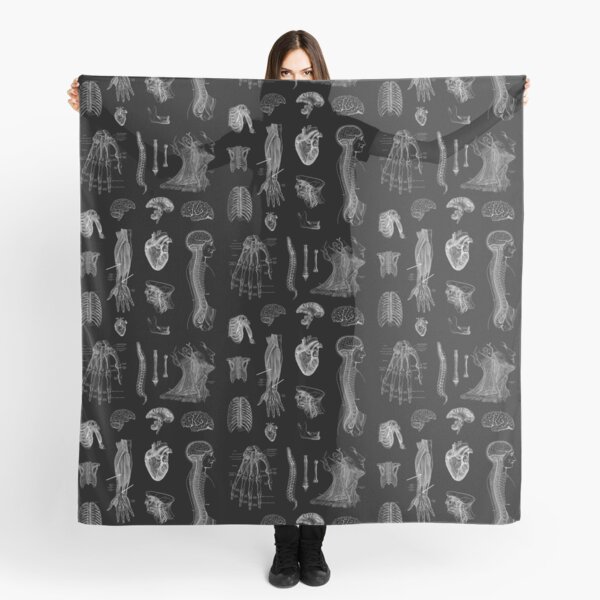 Vintage Anatomy Print Scarf