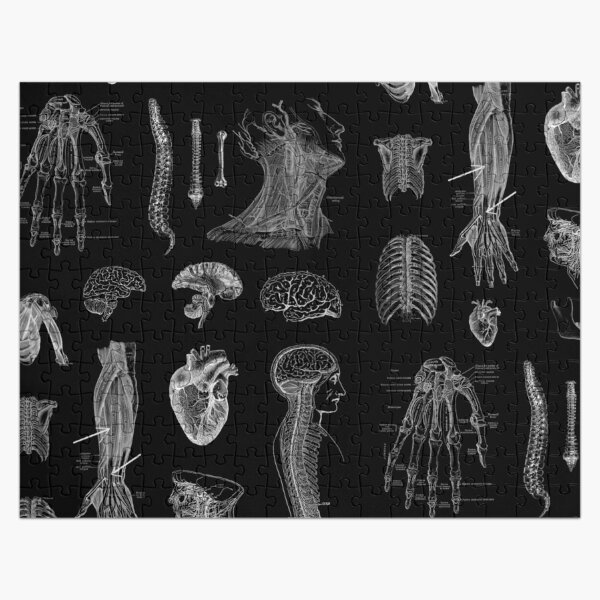 Impression d'anatomie vintage Puzzle