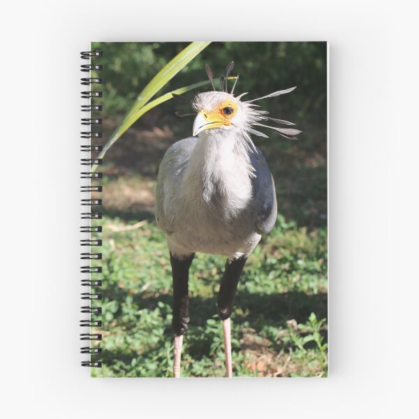 Item preview, Secretary Bird designed and sold by renprovo.