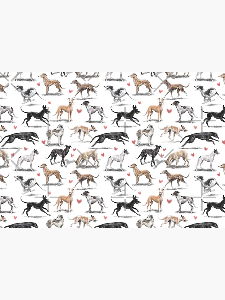 Greyhounds by elspethrose