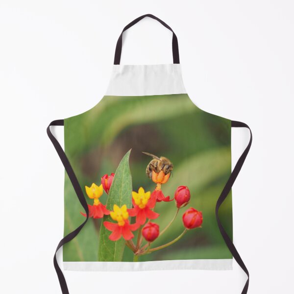 Item preview, Bee on a bloodflower designed and sold by johnnieb.