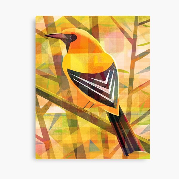 Yellow Oriole Canvas Print