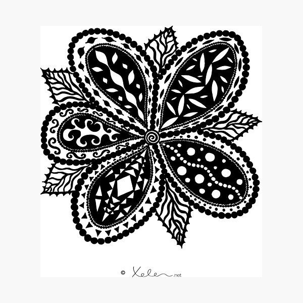 Magic Flower Black Fotodruck