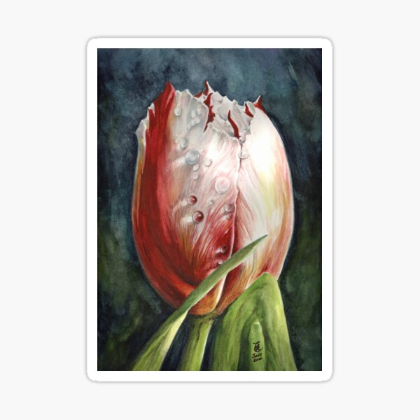 Candy Striper Sticker