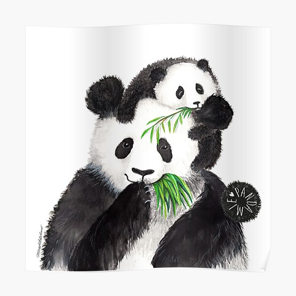 Pandamie_Pandas with bamboo snack Poster