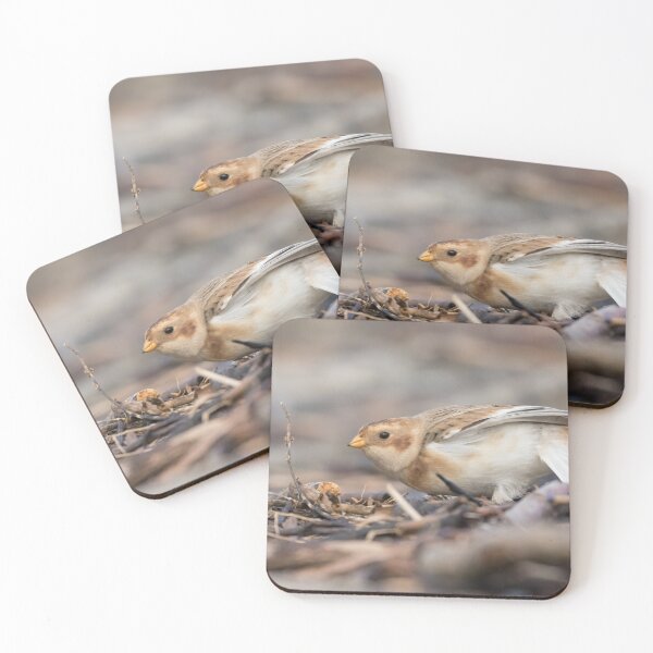 Item preview, Snow Bunting designed and sold by LaurenTucker.