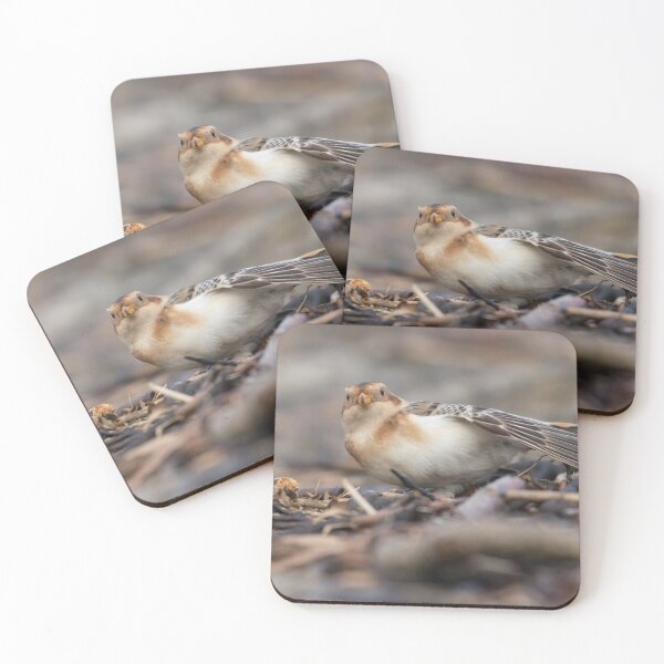 Item preview, Snow Bunting designed and sold by LaurenTucker.