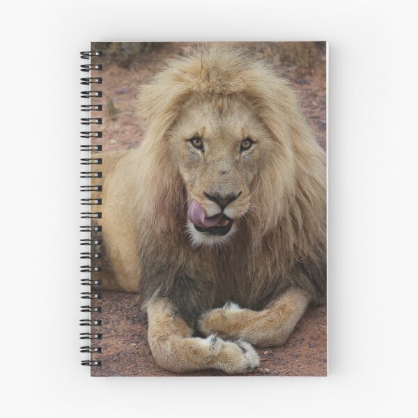 Item preview, Lion Licks His Chops designed and sold by renprovo.