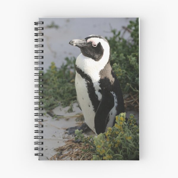 Item preview, False Bay Penguin South Africa designed and sold by renprovo.