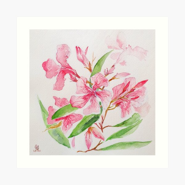 Laurier Rose Impression artistique