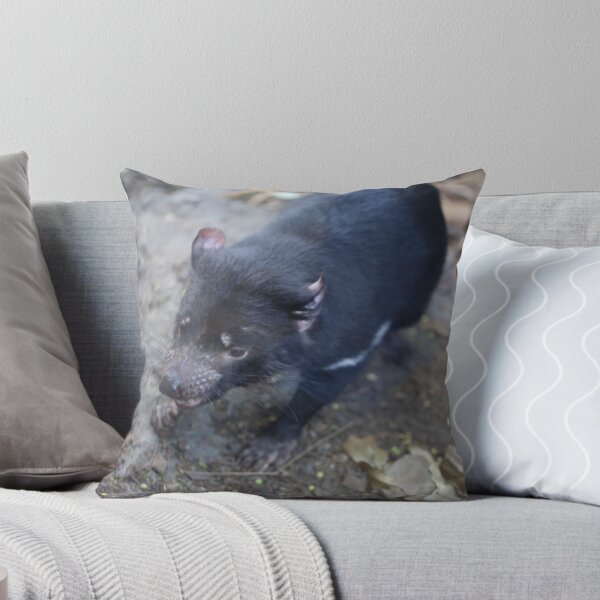 Aperçu de l'œuvre Tasmanian Devil at Taronga Zoo créée et vendue par renprovo.