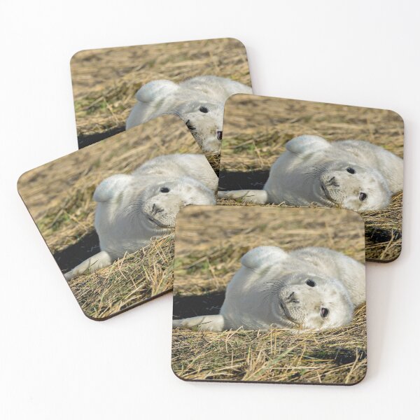 Item preview, Grey Seal Pup designed and sold by mhfore.