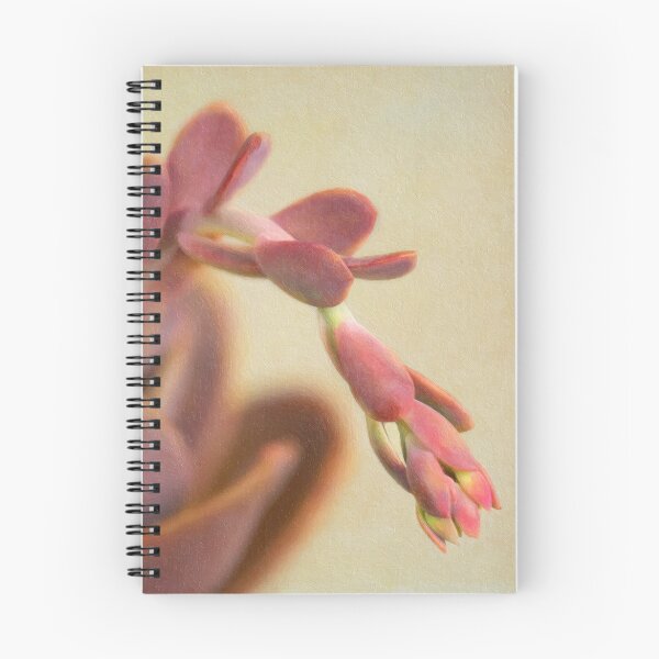 Item preview, Succulent #02 designed and sold by Malcolm Heberle.