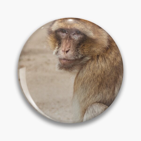 Item preview, Monkey sitting down designed and sold by Rubecula.