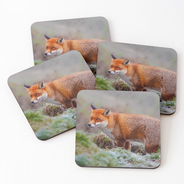 Item preview, Red Fox designed and sold by Dalyndigital Photography.