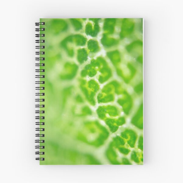 Item preview, Green Microcosmos Basil Leaf designed and sold by daiaiai.