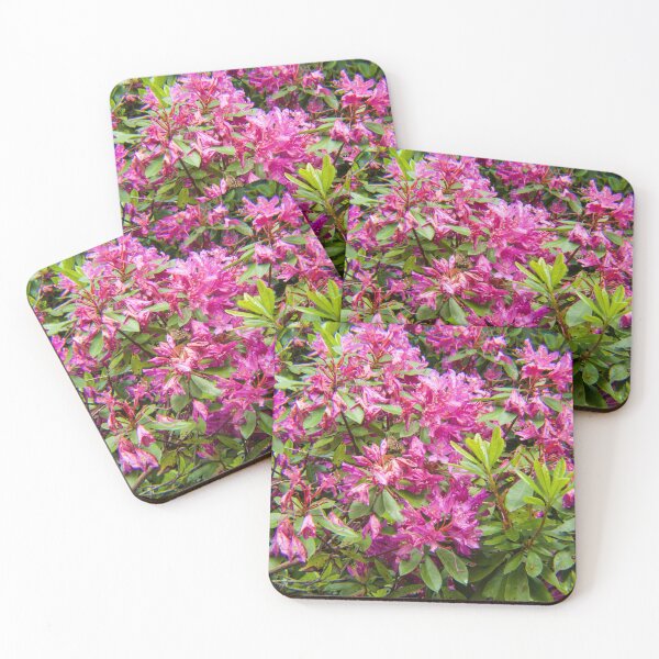 Item preview, Pink fuchsia in full bloom designed and sold by Jenny Burrows.