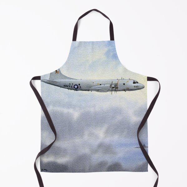 Item preview, P-3 Orion Aircraft designed and sold by William Holkham.