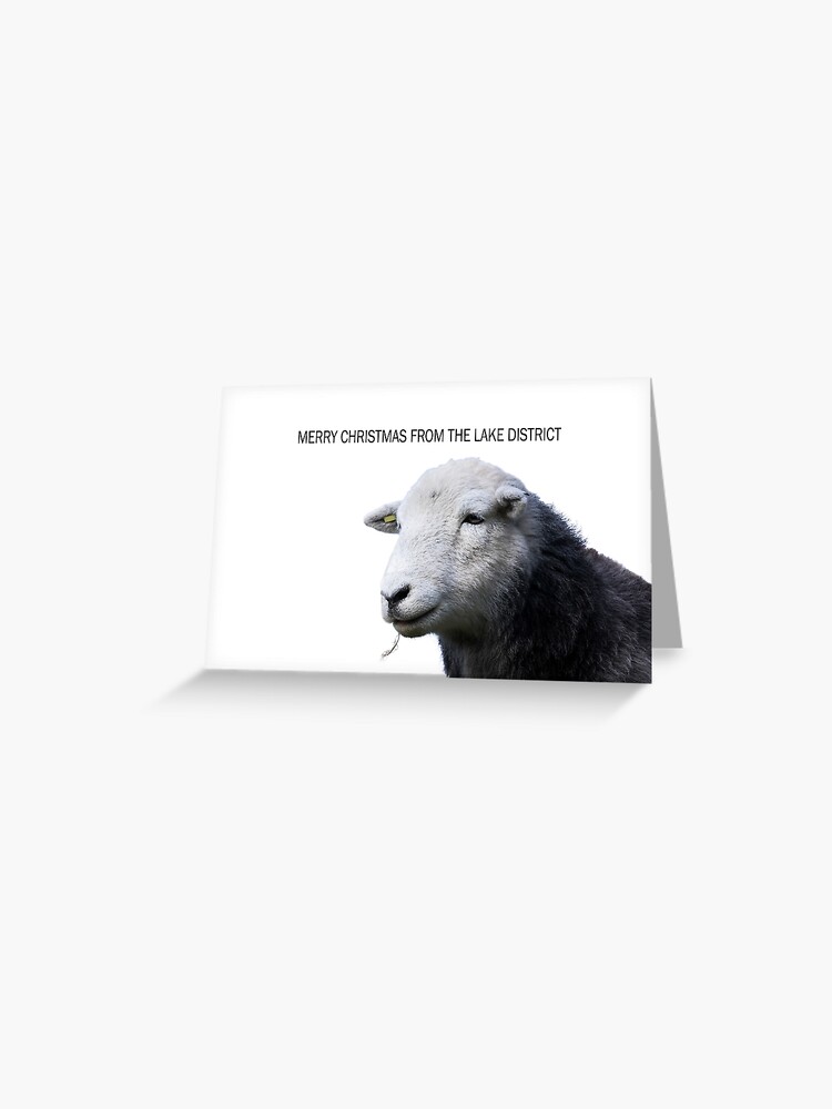 Merry Christmas To Ewe - Ditsy Puffin Designs - View #3
