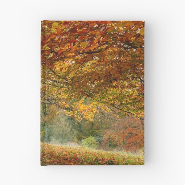Item preview, Trees in autumn colour designed and sold by Victoria Ashman.