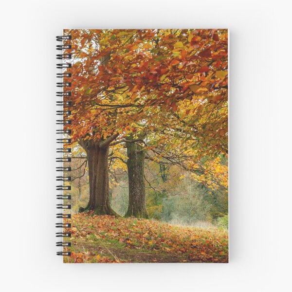 Item preview, Trees in autumn colour designed and sold by Victoria Ashman.