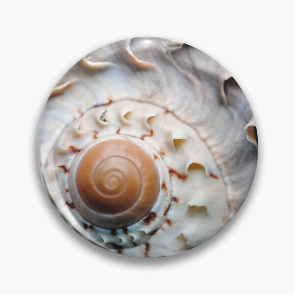 Item preview, Snaggle-Toothed Shell designed and sold by MarjorieB.