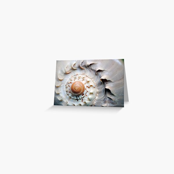 Snaggle-Toothed Shell Greeting Card