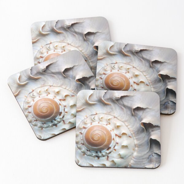 Item preview, Snaggle-Toothed Shell designed and sold by MarjorieB.