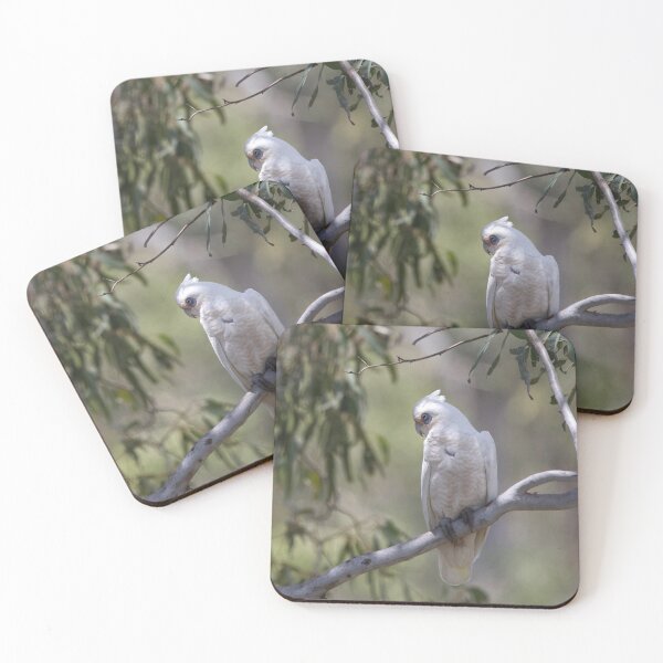 Item preview, Little Corella designed and sold by MargsNaturePix.