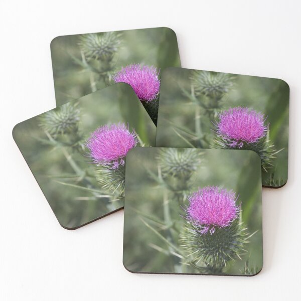 Item preview, Bull Thistle designed and sold by MargsNaturePix.