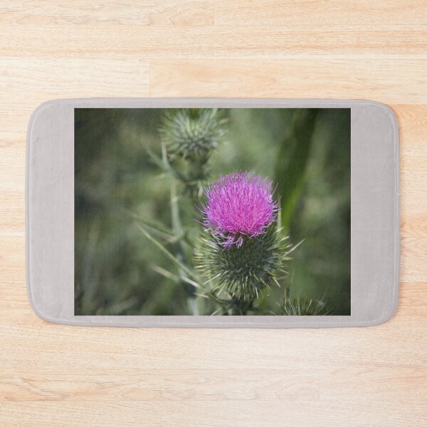 Item preview, Bull Thistle designed and sold by MargsNaturePix.