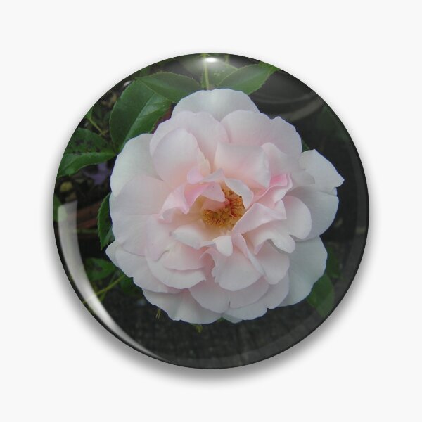 Item preview, Single Pale Pink Rose designed and sold by CalicoCatCyber.