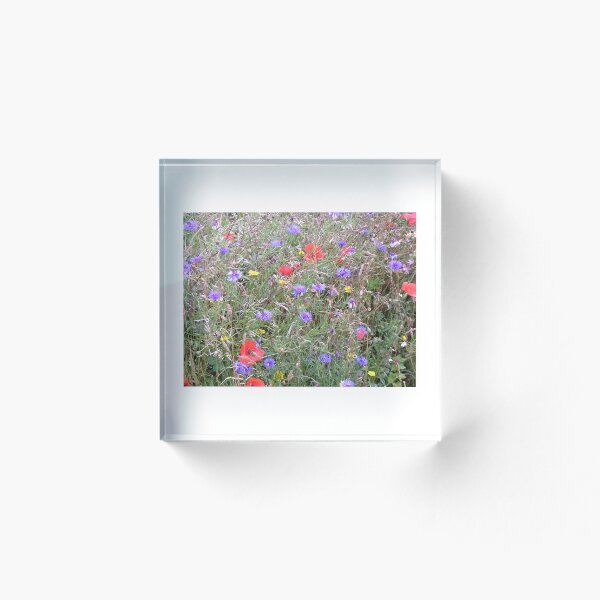 Item preview, Poppies and Cornflowers in bloom designed and sold by CalicoCatCyber.