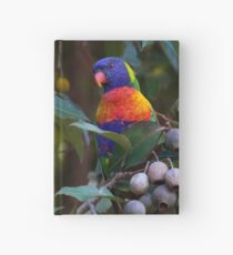 Swainson's Rainbow Lorikeet Hardcover Journal