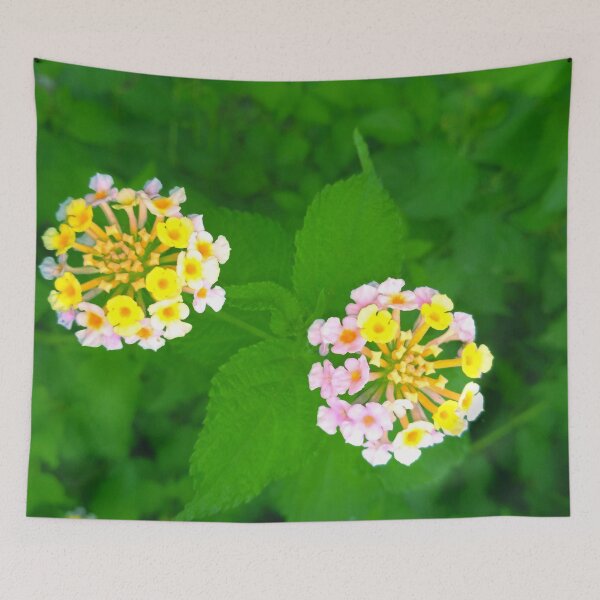 Item preview, Lantana Flower designed and sold by TownWish.