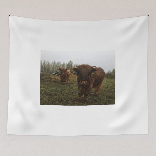 Item preview, Scottish Highland Cattle Caves 1992 designed and sold by SaarelaHighland.