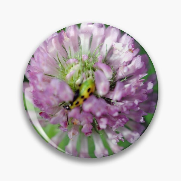 Item preview, Sweet Red Clover With A Sting designed and sold by MarjorieB.