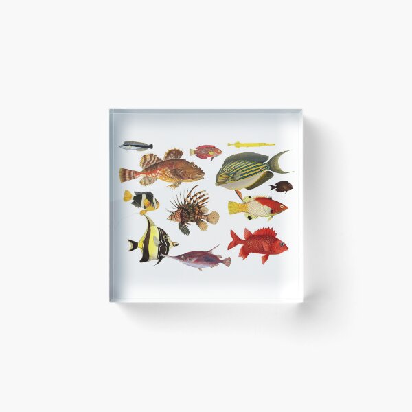 Item preview, Fish of the ocean designed and sold by billythekidtees.