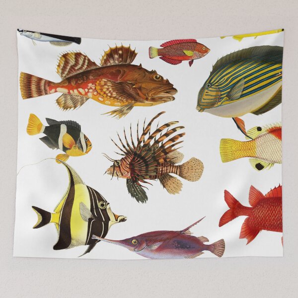 Item preview, Fish of the ocean designed and sold by billythekidtees.