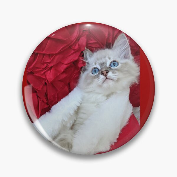 Item preview, Ragdoll kitten Christmas designed and sold by Fluffycat2020.